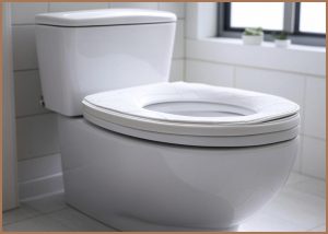 샤바스 스칸디나 하드 O형 ...